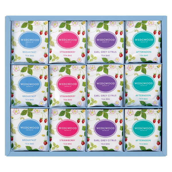 EFbWEbh Ch Xgx[ eB[obO (WN48P)